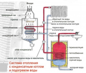 Новые и экономные газовые котлы: как сделать правильный выбор